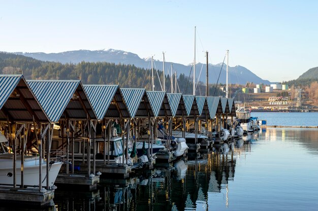 Sailboats moored in harbor against sky