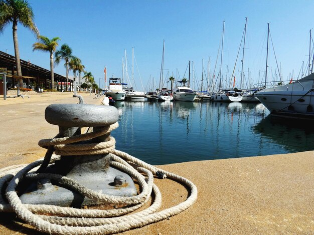 Sailboats moored in harbor