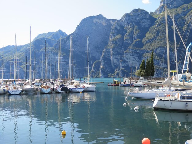 Sailboats moored at harbor