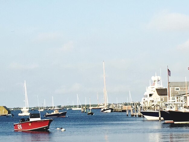 Sailboats moored in harbor