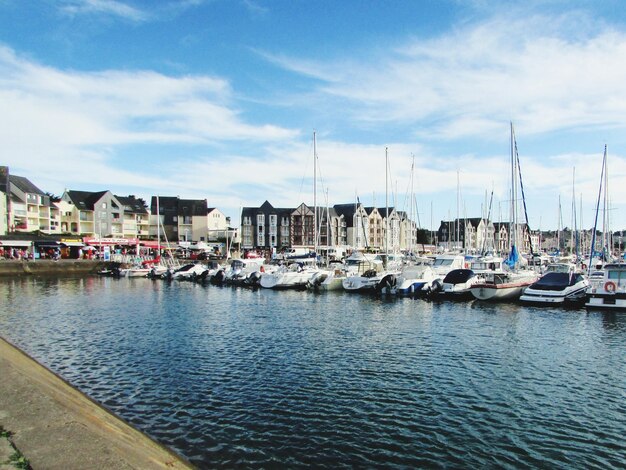 Sailboats moored at harbor