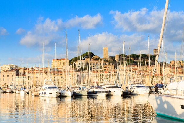 Sailboats moored at harbor