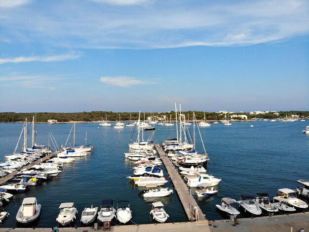 Sailboats moored in harbor