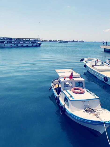 Sailboats moored in harbor