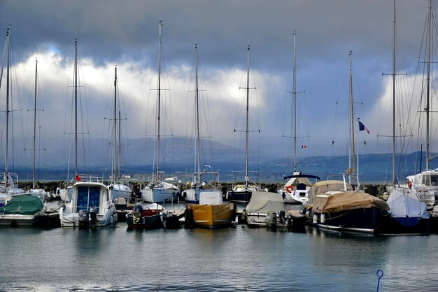 Sailboats moored in harbor