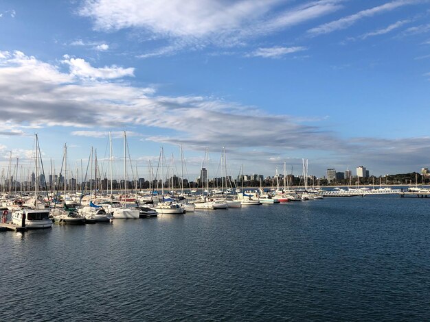 Photo sailboats moored in harbor