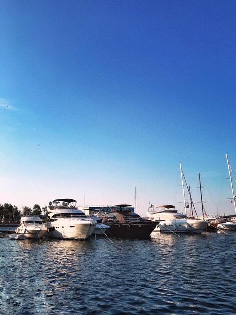 Sailboats moored in marina against blue sky