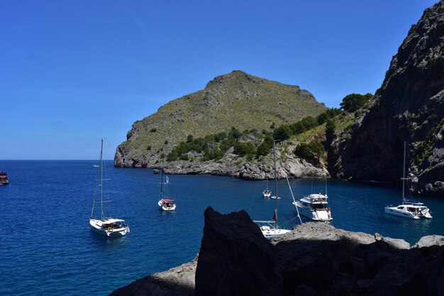 Sailboats moored on sea against clear blue sky