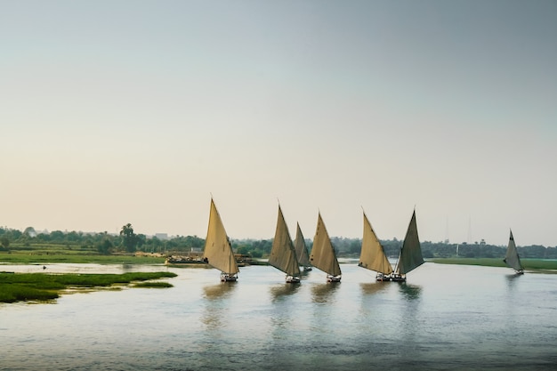 Sailboats on the Nile