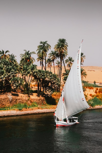 Sailboats on the Nile