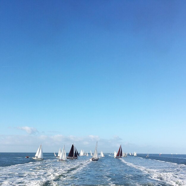 写真 空に向かって海で航海する帆船