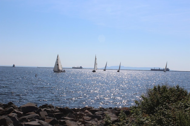 Sailboats sailing in sea against clear blue sky