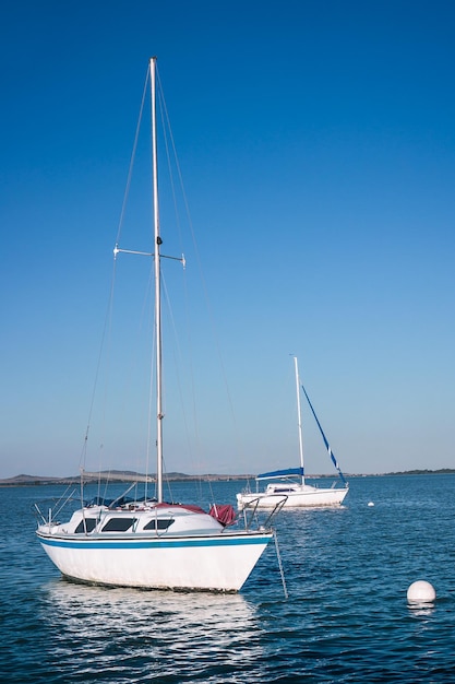 Sailboats sailing in sea against clear blue sky