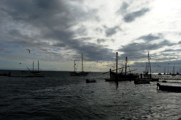 Sailboats sailing in sea against sky