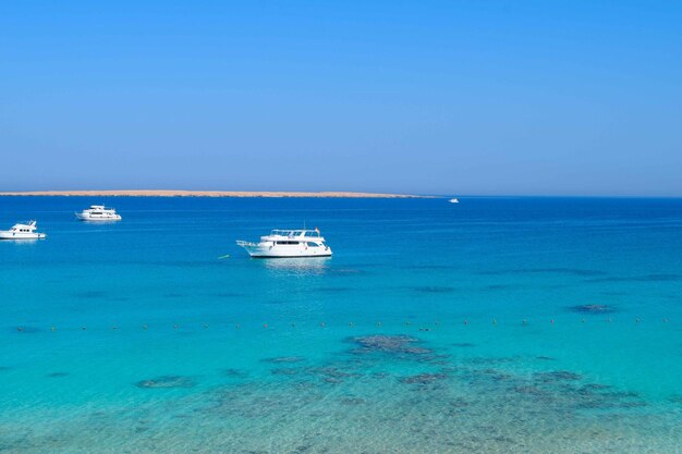 Sailboats in sea against clear blue sky