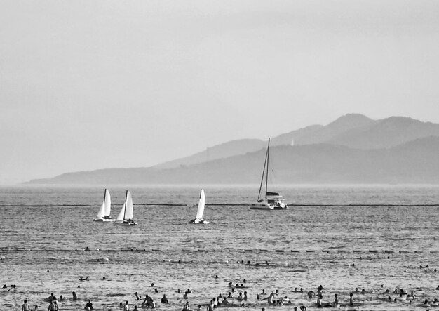 Photo sailboats in sea against clear sky