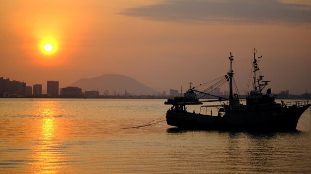 Sailboats in sea against sky during sunset