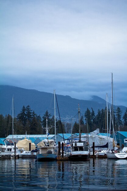 Photo sailboats in sea