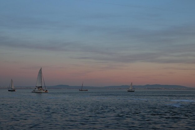 Sailboats on a vast sea during sunset