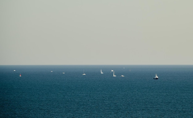 Sailboats and yachts in the open sea during the calm