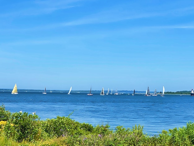 Photo sailing boats on the horizon