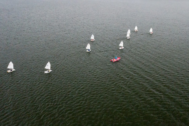 Парусная регата на море. множество белых парусов плывет по воде.