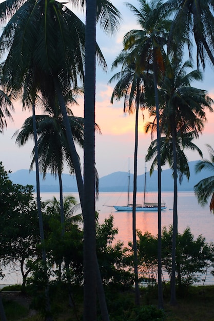 Sailing vessel in the rays of tropical sunset