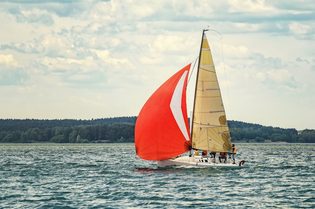 Sailing yacht goes to the bay