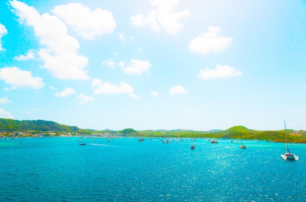 카리브 해 에 있는 마르티니크 섬 의 만 에 세일링 요트 가 정박 하고 있다