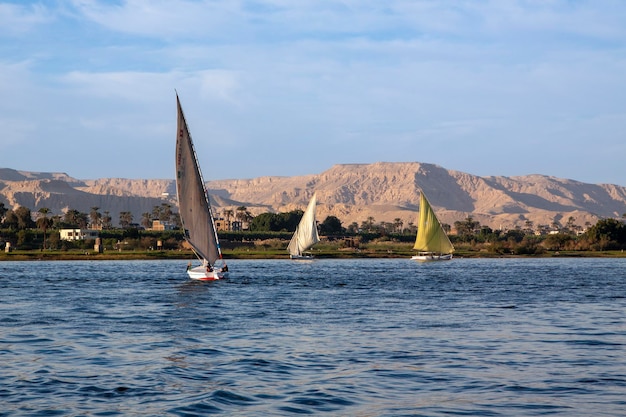 The sailing yachts in a calm sea