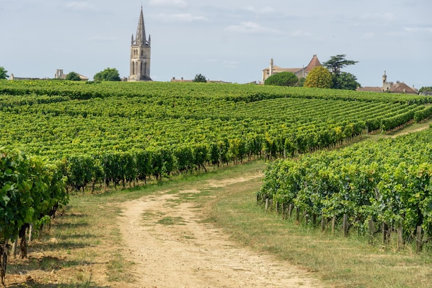 사진 saint emilion 마을 보르도 프랑스