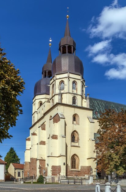 Saint nicolas church is a gothic cathedral in trnava slovakia it was built between 1380 and 1421