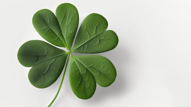 Saint Patrick's day design with clover leaf on green background