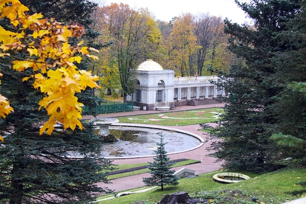 Saint petersburg Peterhof