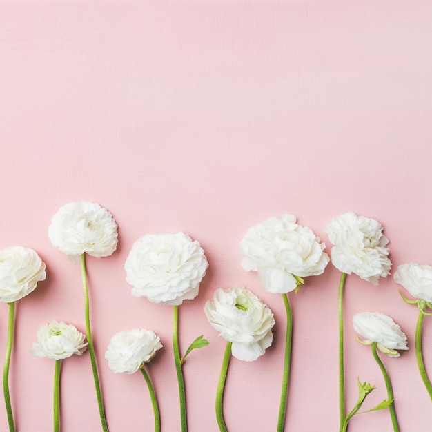 Saint Valentines Day background with ranunculus flowers square crop