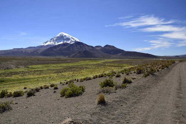 Sajama National Park omgeven door besneeuwde bergen met zwarte wolken omgeven door droge vegetatie Bolivia