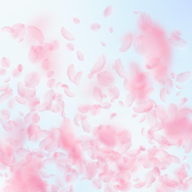 Sakura-bloemblaadjes vallen naar beneden. Romantisch roze bloemen verloop. Vliegende bloemblaadjes op blauwe hemel vierkante achtergrond. Liefde, romantiek concept. Betoverende huwelijksuitnodiging.