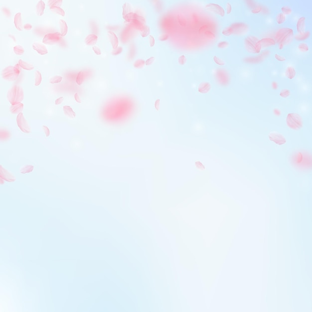 Sakura bloemblaadjes vallen Romantisch roze bloemen vallende regen Vliegende bloemblaadjes op blauwe hemel vierkante achtergrond Liefde romantiek concept Fancy bruiloft uitnodiging