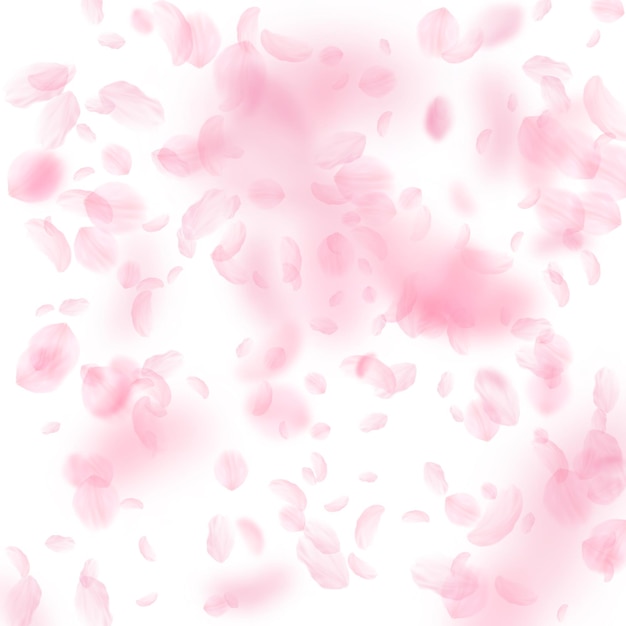 Sakura bloemblaadjes vallen Romantisch roze bloemen vallende regen Vliegende bloemblaadjes op witte vierkante achtergrond Liefde romantiek concept Opmerkelijk huwelijksuitnodiging