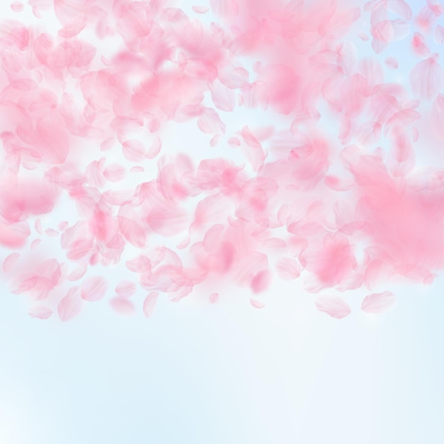Sakura bloemblaadjes vallen Romantisch roze bloemen verloop Vliegende bloemblaadjes op blauwe hemel vierkante achtergrond Liefde romantiek concept Levendige bruiloft uitnodiging