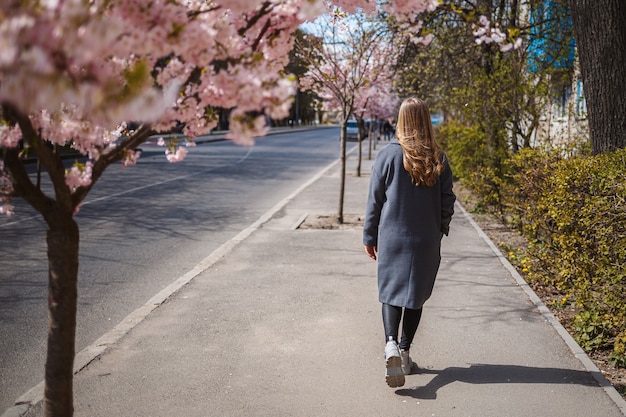 Sakura branches with flowers on a tree on the city streets. Happy woman girl in a gray palette walks along an alley with blooming sakura. Gorgeous fancy girl outdoors. Sakura tree blooming.