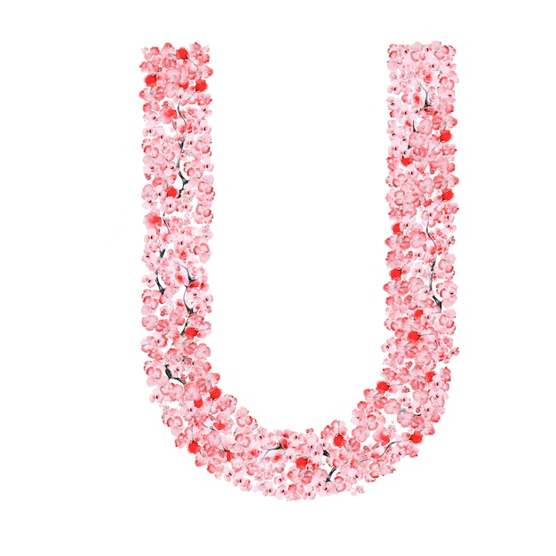 Sakura Flower Alphabet. Letter U