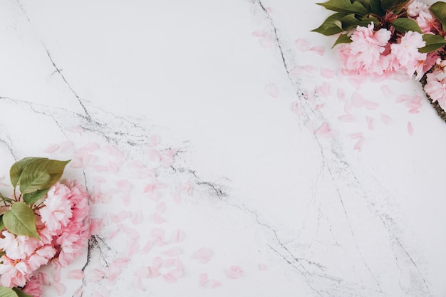 Sakura flowers and petals on marble background