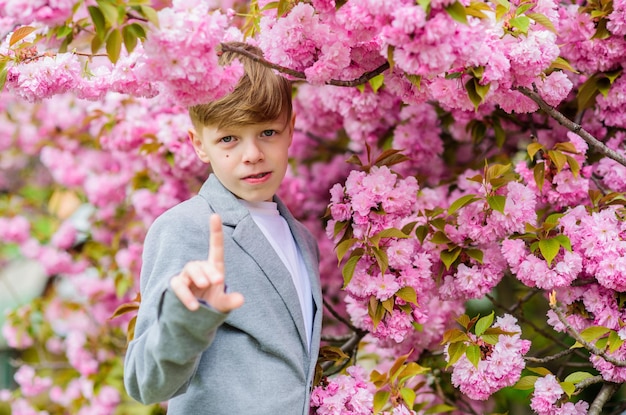 Sakura garden concept. Guy enjoying cherry blossom sakura. Confident stylish child enjoy warm spring day. Boy fashionable teen posing near sakura. Child pink flowers of sakura tree background.