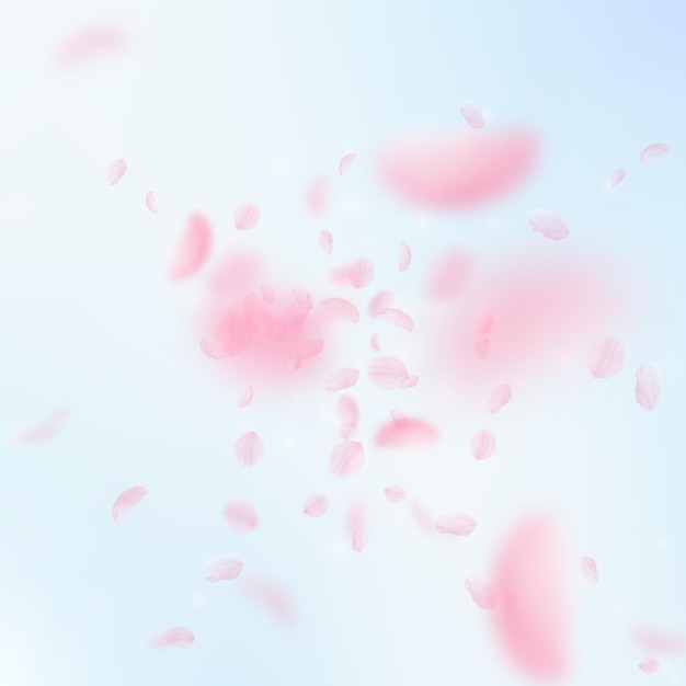 Sakura petals falling down. Romantic pink flowers explosion. Flying petals on blue sky square background. Love, romance concept. Divine wedding invitation.