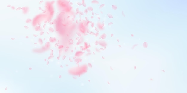 Sakura petals falling down Romantic pink flowers explosion Flying petals on blue sky wide background Love romance concept Great wedding invitation