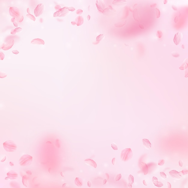 Sakura petals falling down Romantic pink flowers falling rain Flying petals on pink square background Love romance concept Majestic wedding invitation