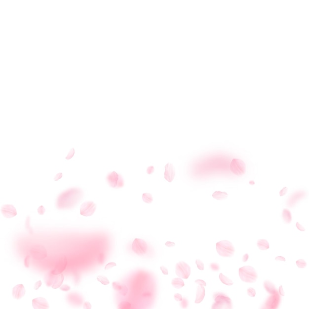 떨어지는 벚꽃 꽃잎. 로맨틱 핑크 꽃 그라데이션입니다. 흰색 사각형 배경에 비행 꽃잎입니다. 사랑, 로맨스 개념입니다. 유행하는 청첩장.