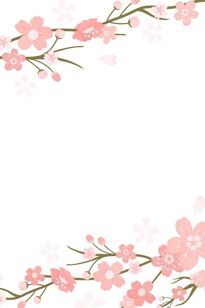Sakura png doorzichtige achtergrond Hanami festival
