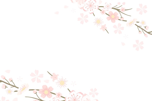 Sakura png transparent background Hanami festival